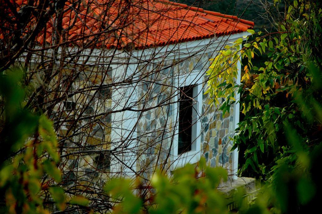 Bed and Breakfast Mavikarga Bozcaada Exteriér fotografie