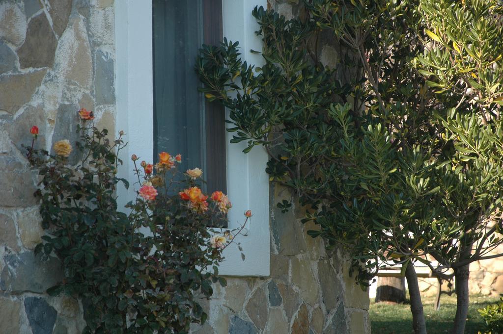 Bed and Breakfast Mavikarga Bozcaada Exteriér fotografie
